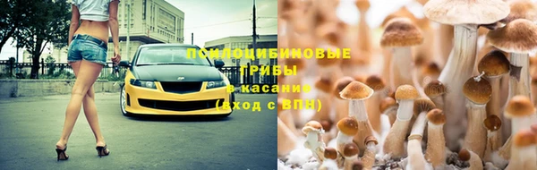 гидропоника Арсеньев