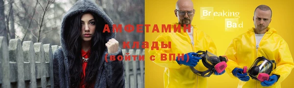 стафф Аркадак