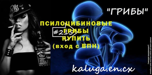 МДПВ Алексин